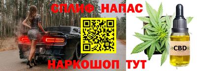 дживик Камышлов