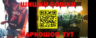 дживик Камышлов