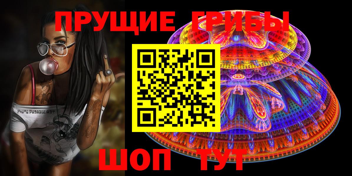 Галлюциногенные грибы Psilocybine cubensis Ярцево